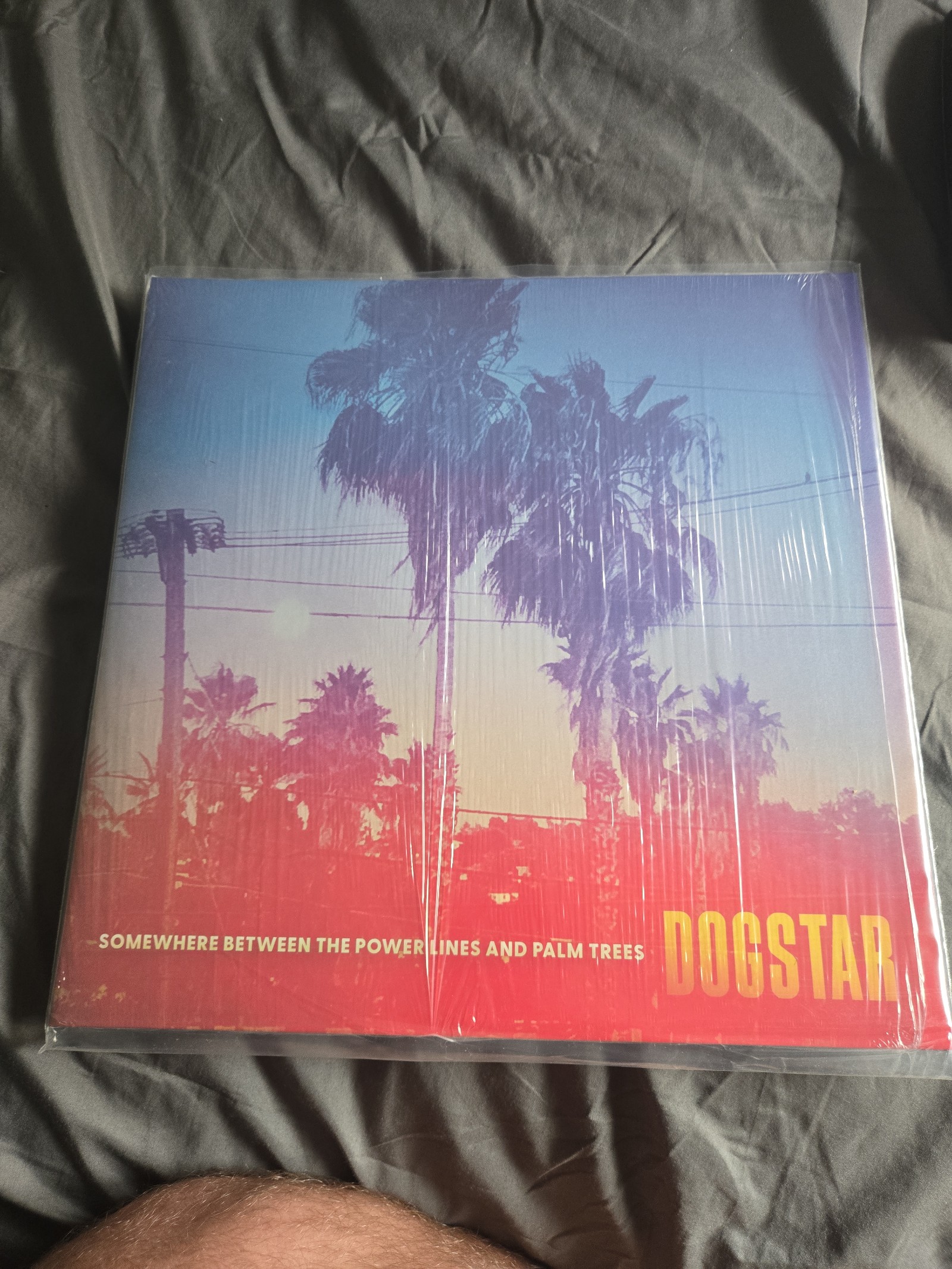 Dog star Vinyl signed