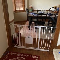 Baby Gates with Cat Door - Auto Close 29.5 -48.4 Safety Metal Dog Pet Gate
