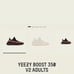 Yeezy 350