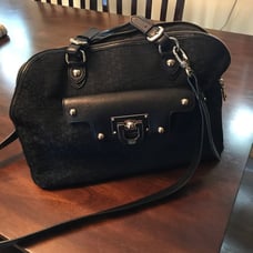 dkny purse