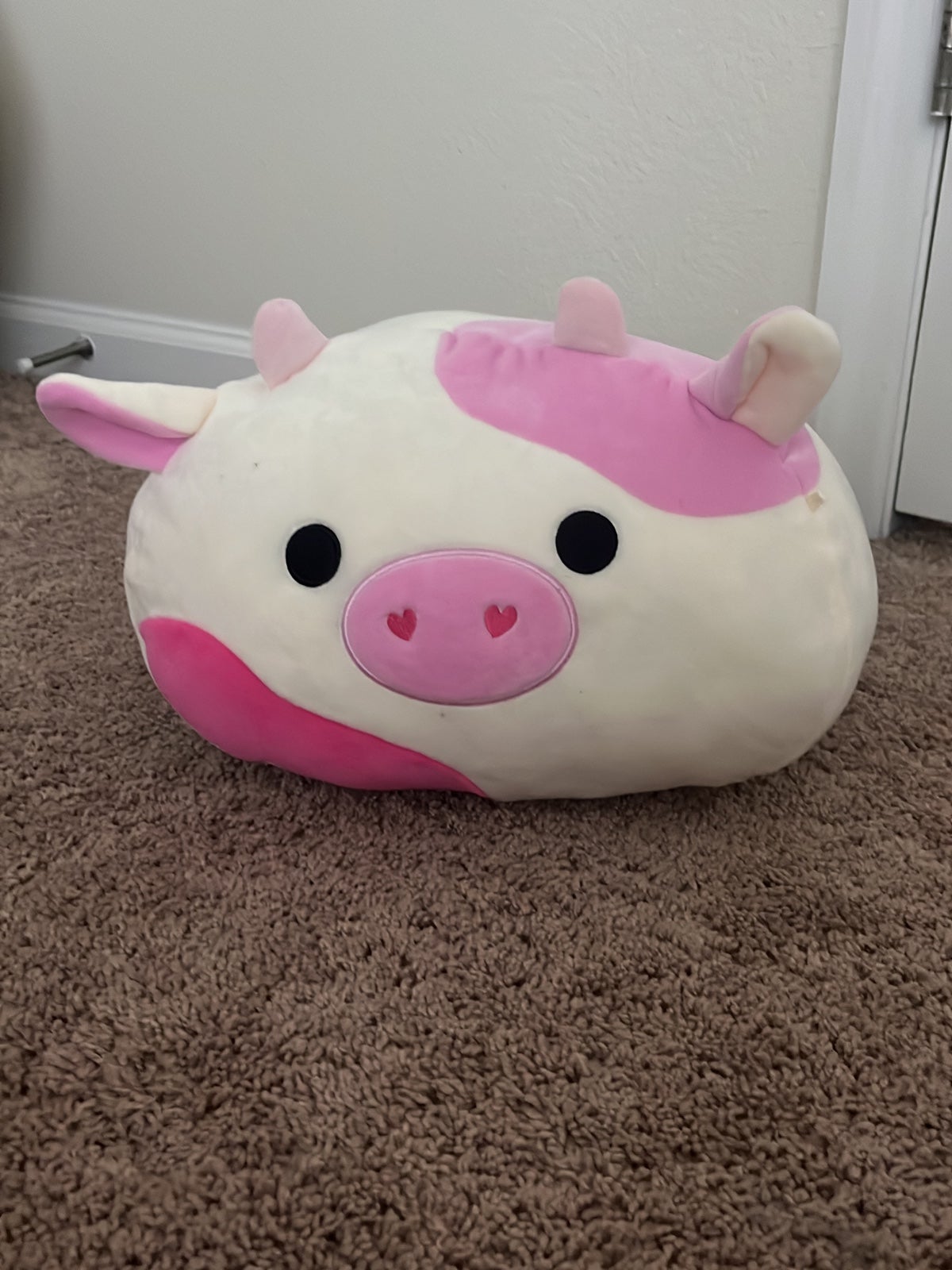 Caedyn stackable