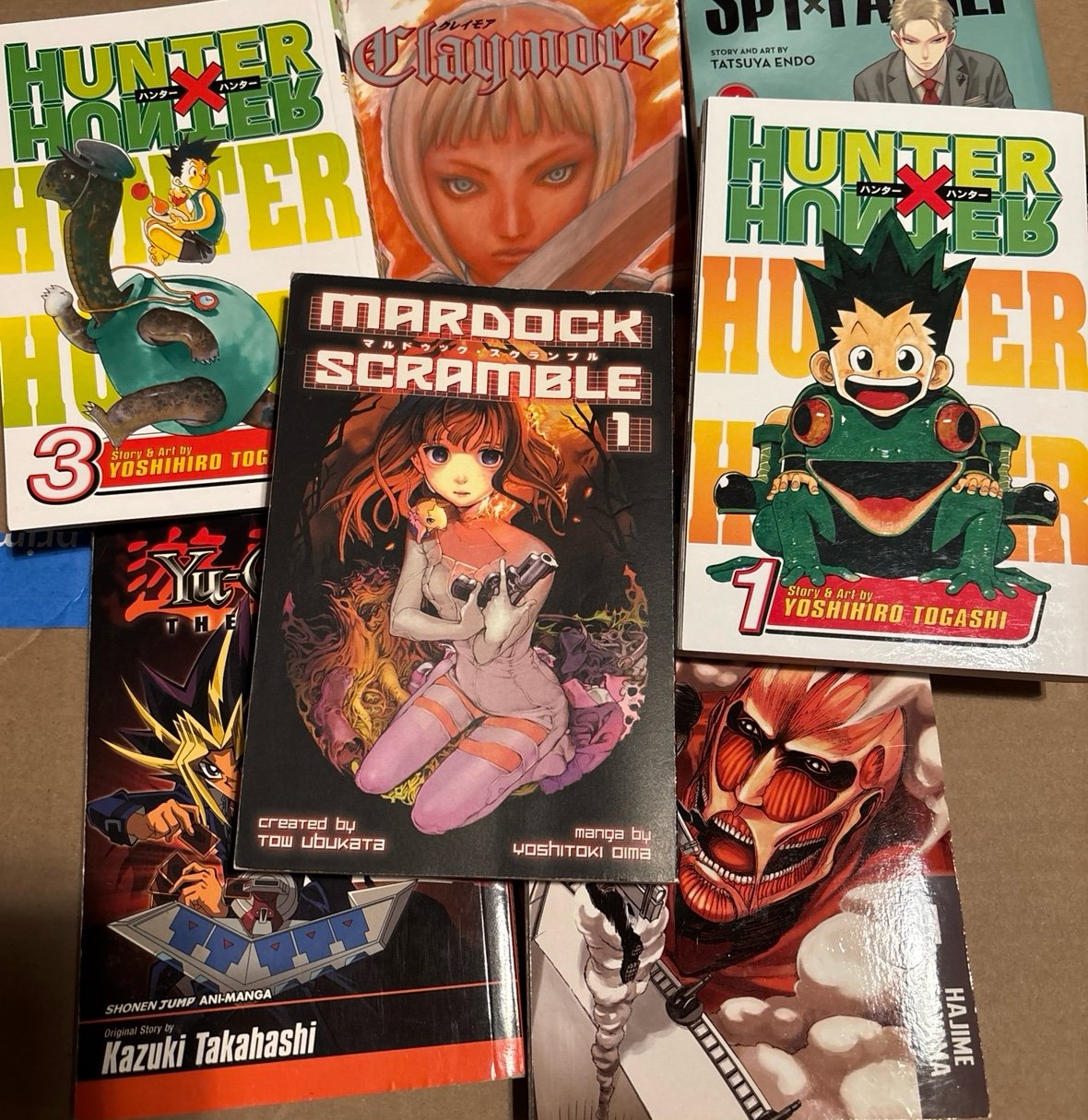 Manga Lot