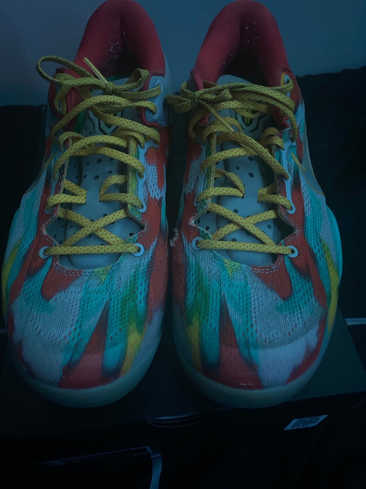 kobe 8 venice beach