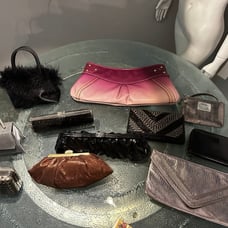 Handbags/ clutches