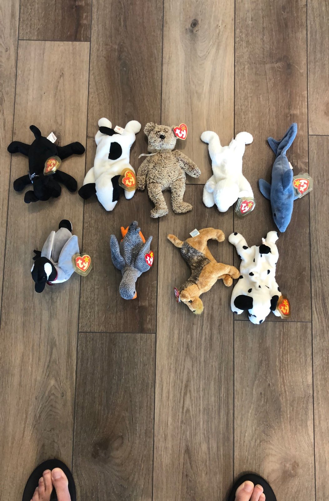 Collectible lot of Ty Beanie Babies