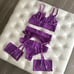 5pcs NWT Purple Exquisite Embroidered Sexy Lingerie Set, M