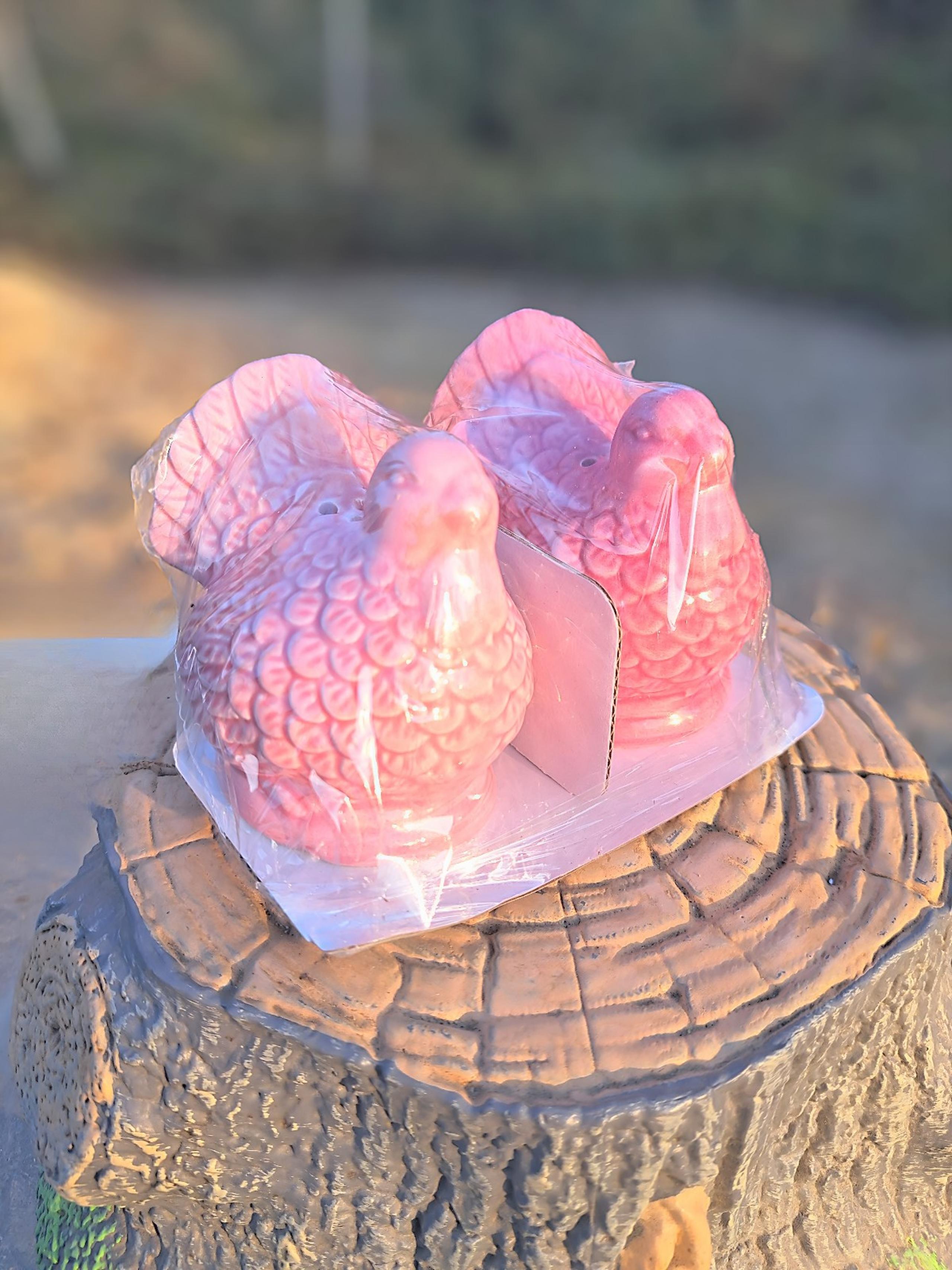 2 NWT Target 2024 Fall Thanksgiving Pink Turkey Ceramic Salt & Pepper Shakers