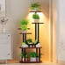 41.5 Tall Multiple Plant Shelf, 6 Tier Lighted Plant Stand