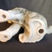 Antique Porcelain Figure Dog Schnauzer Japan Enesco Aldon D690