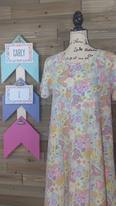 NWT LuLaRoe L Carly