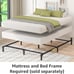 Amazon Basics King Bed Frame Metal - Smart Box Spring Base, White