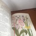 National Geographic Magazine August 1939 Forty Pages Of Illustrations In Color