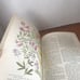 National Geographic Magazine August 1939 Forty Pages Of Illustrations In Color