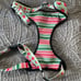 Hot cocoa The Pack XL Dog Harness