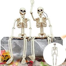 40cm Halloween Human Shape Skeleton,Posable Skeleton,Human Shape Bones,Halloween