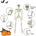 40cm Halloween Human Shape Skeleton,Posable Skeleton,Human Shape Bones,Halloween