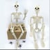 40cm Halloween Human Shape Skeleton,Posable Skeleton,Human Shape Bones,Halloween