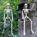 40cm Halloween Human Shape Skeleton,Posable Skeleton,Human Shape Bones,Halloween