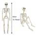 40cm Halloween Human Shape Skeleton,Posable Skeleton,Human Shape Bones,Halloween