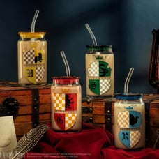 Harry Potter House Crests Tumbler Glasses with Lids - 16 oz - Set of 4