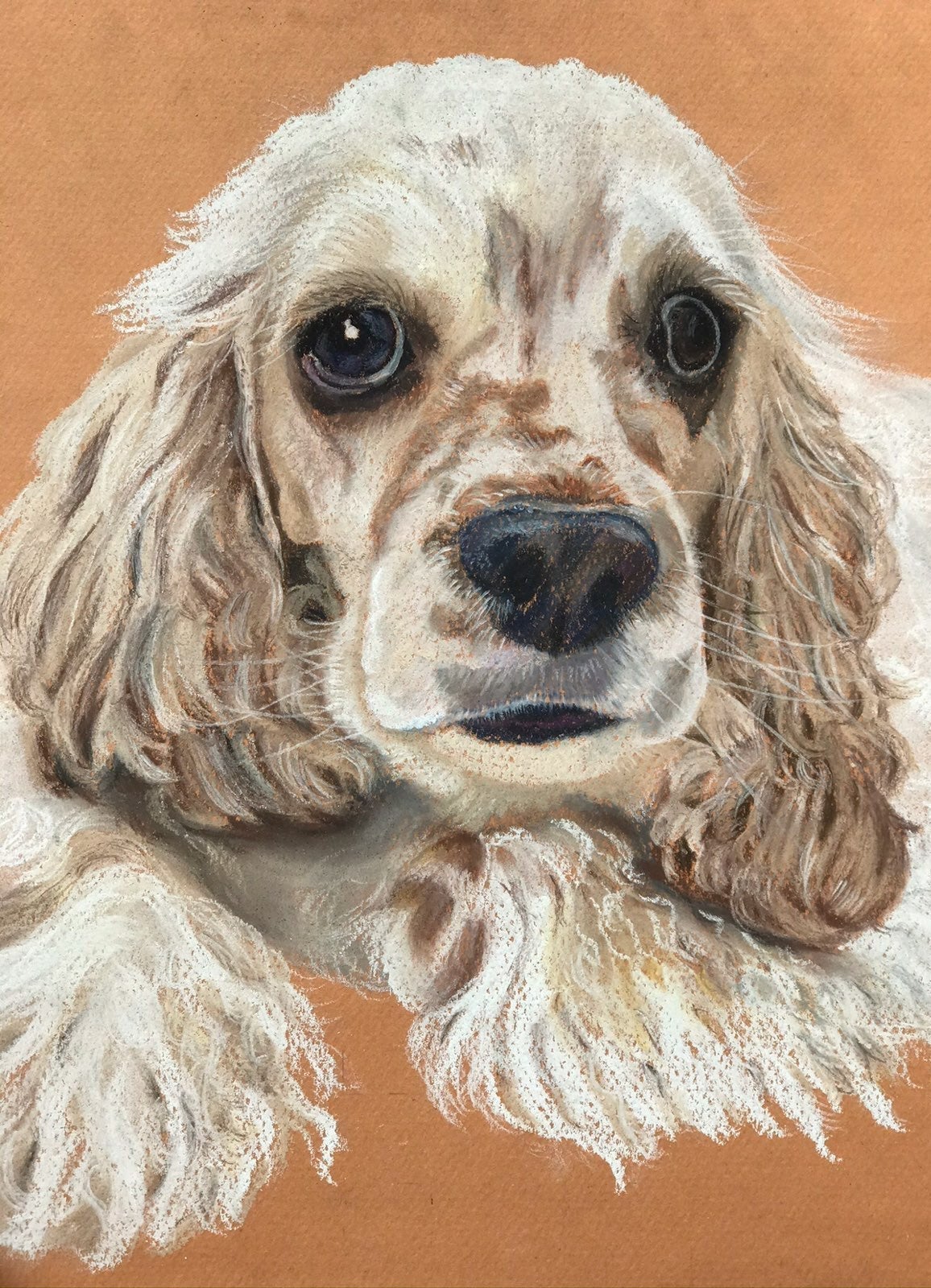 Original pastel drawing of dog