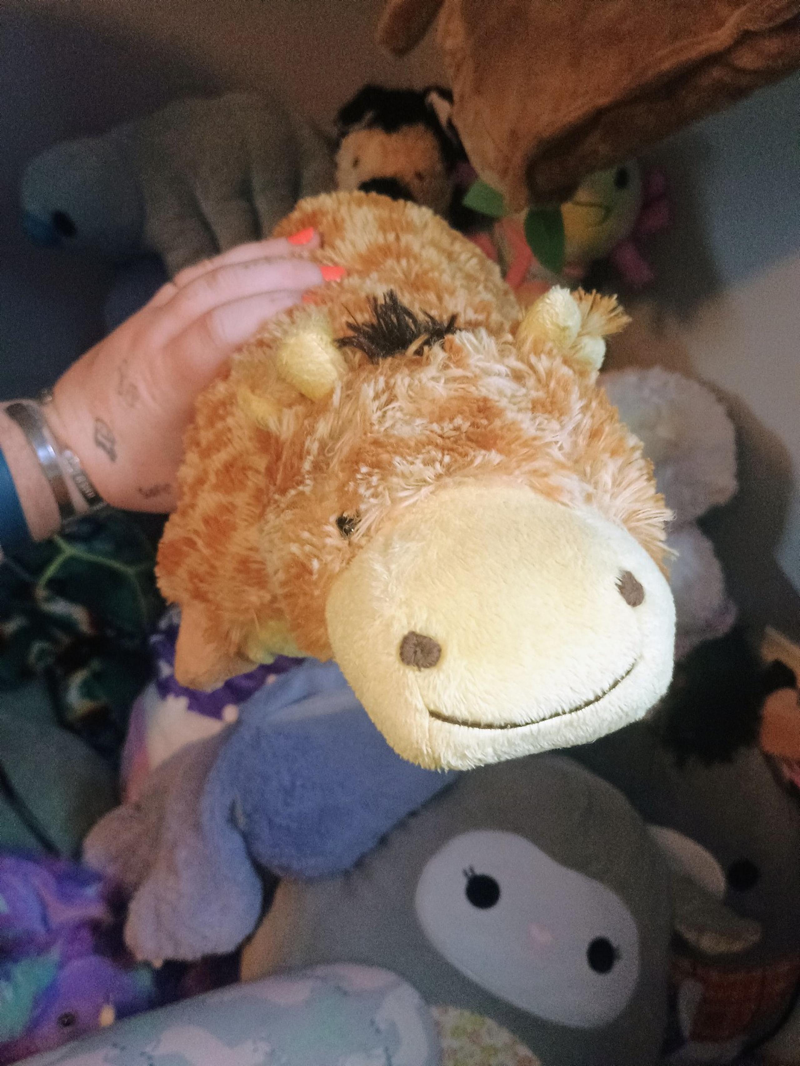 Pillowpets bundle of 2