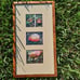 Custom frame mushroom photographs