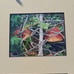 Custom frame mushroom photographs