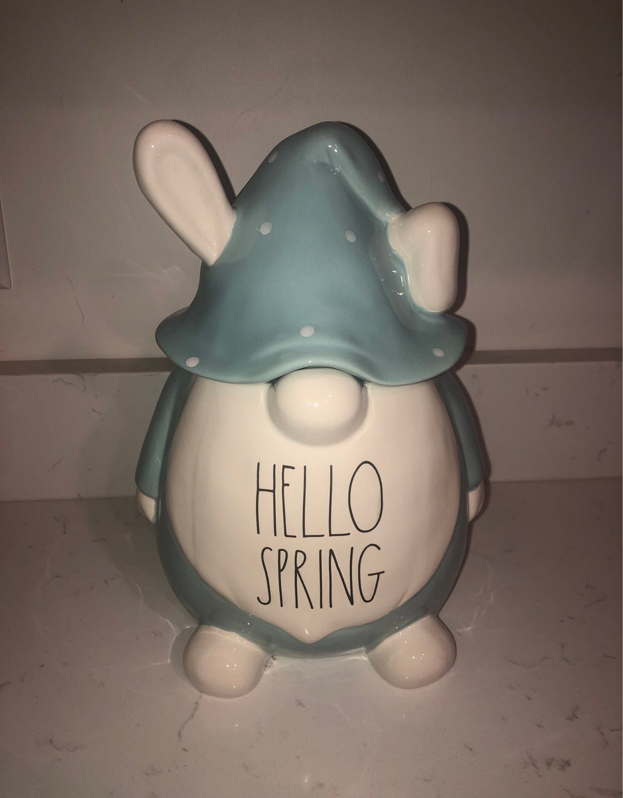 Rae Dunn hello spring Bunny Canister