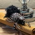 Mackenzie Childs Spider Napkin Ring HTF Halloween Tarantula Napkin Holder Rare