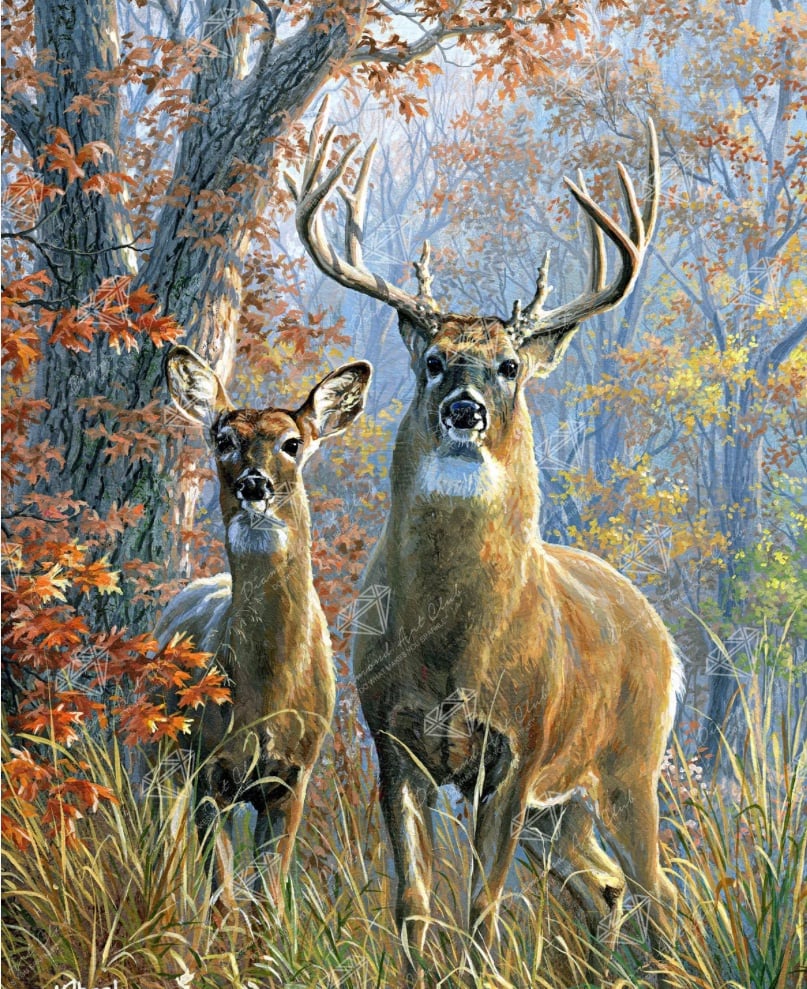 Diamond Art Club/Forest Monarch by Abraham Hunter/Still sealed