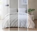 Urban Habitat Zane Cotton Midweight Comforter .