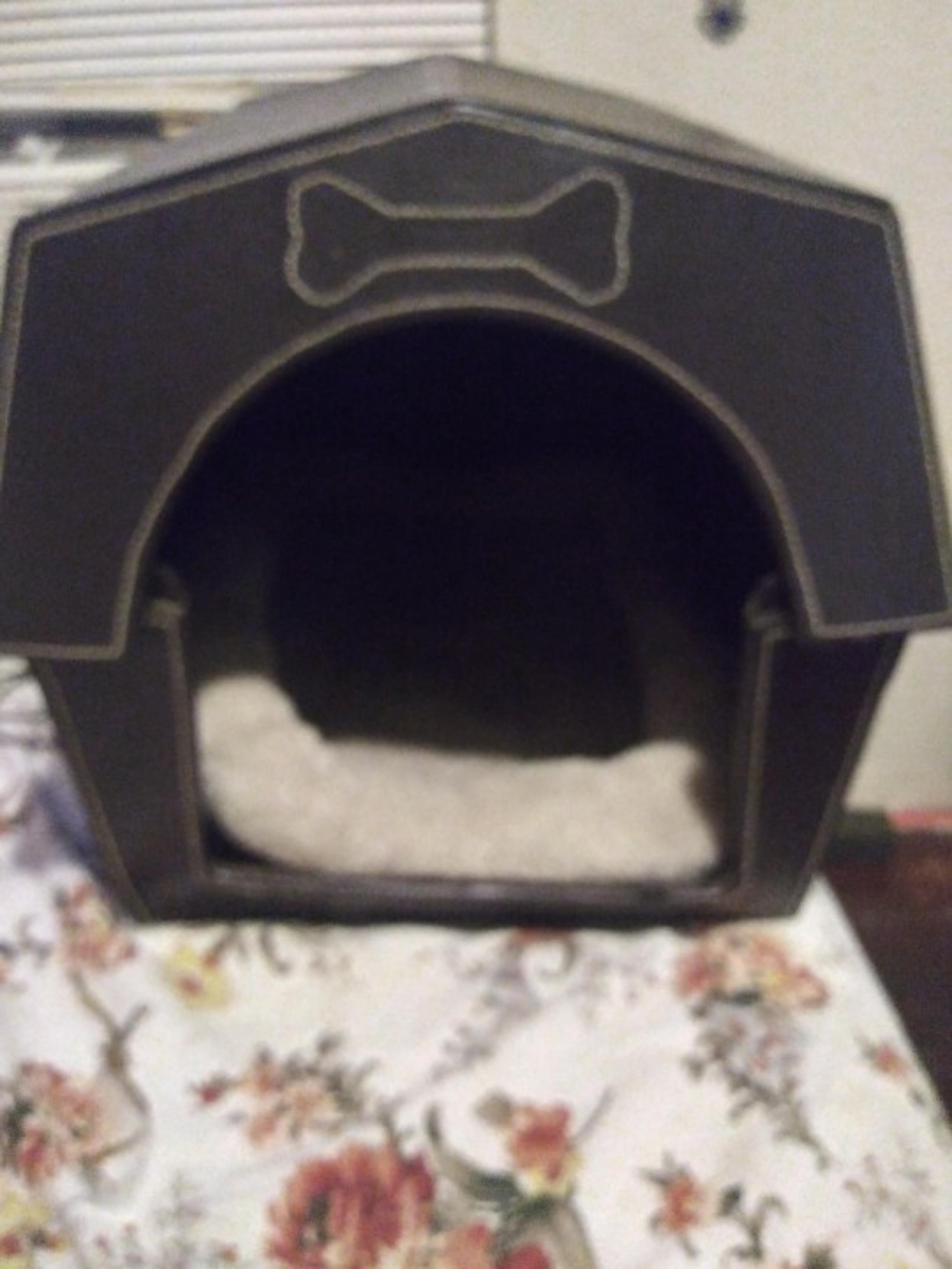 Totally cute leather dog bed/house