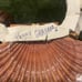 Vintage Shell Necklace Crafted By Celebrity Designer Peggy Graham Handmade 1980s