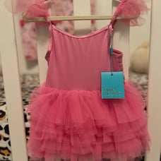 Posh Peanut 2T Cruisin Pink tulle dress