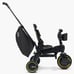 Doona X Vashtie Liki Convertible Stroller Trike