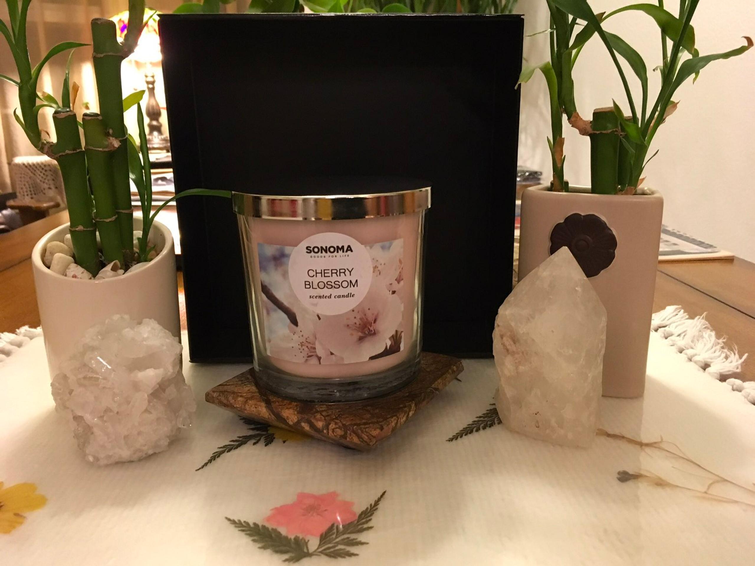 CHERRY BLOSSOM 14 OZ. CANDLE JAR - Sonoma