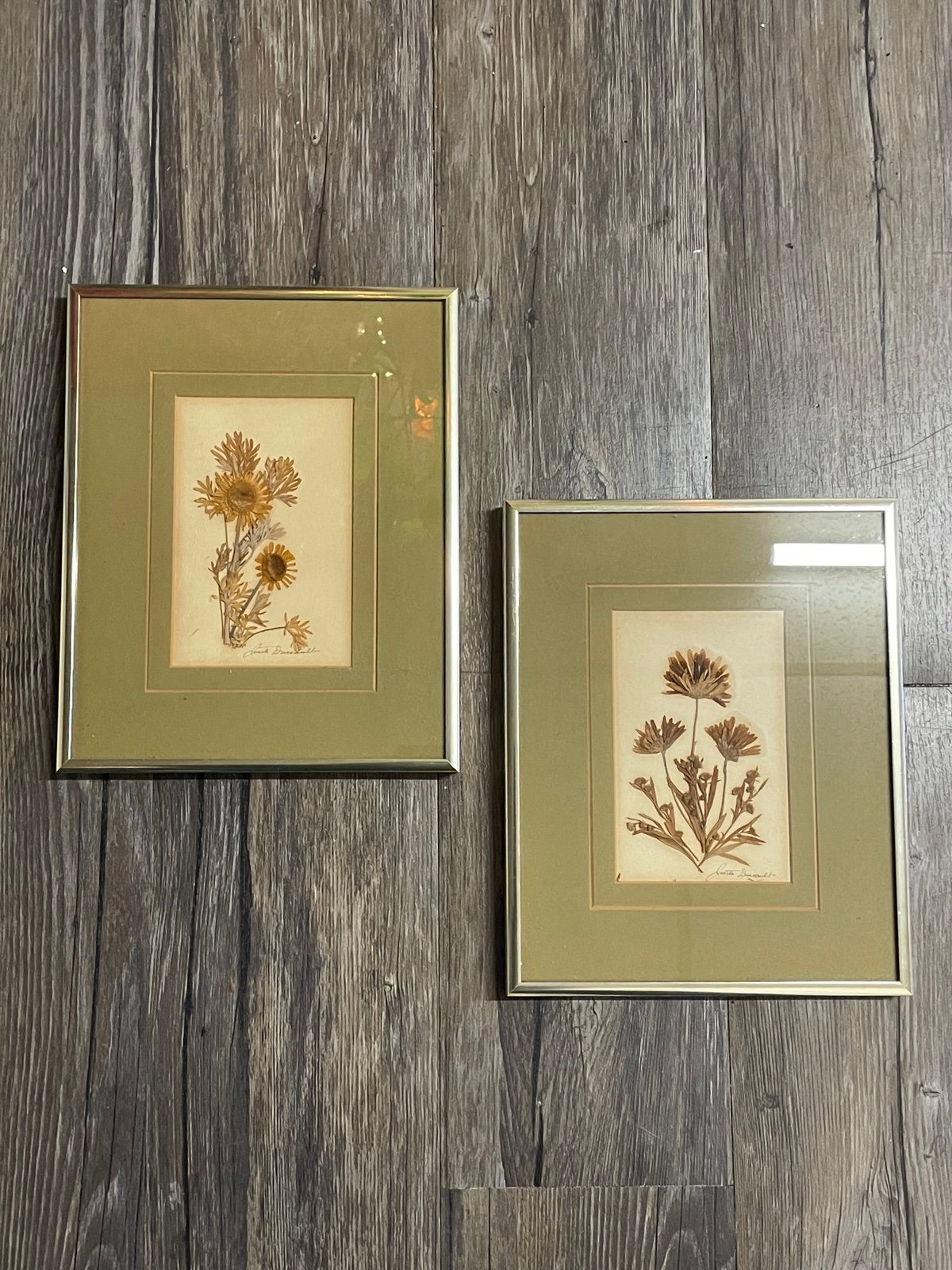 VTG Signed Framed Dried Flower Wall Hanging Set Pressed Flowers Wall Art