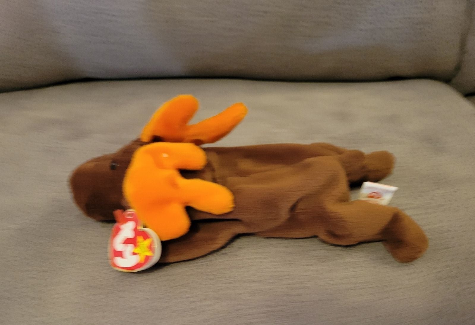 Ty Beanie Baby Moose