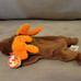 Ty Beanie Baby Moose