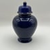 Vintage Ginger Jar