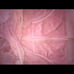 Juicy Couture Velour Rare Y2k Pink Rhinestone Hoodie
