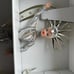 Lady Liberty Barbie 2000 Limited Edition with art by Bob Mackie