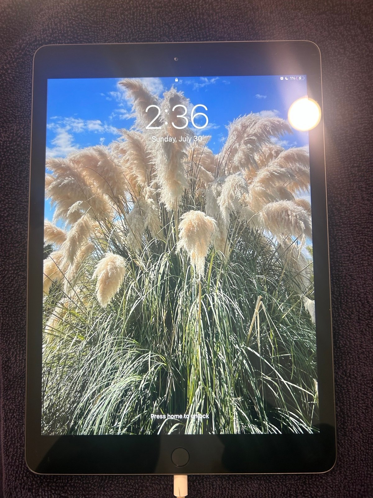 Apple ipads