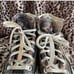 Converse 5.5 Shoes