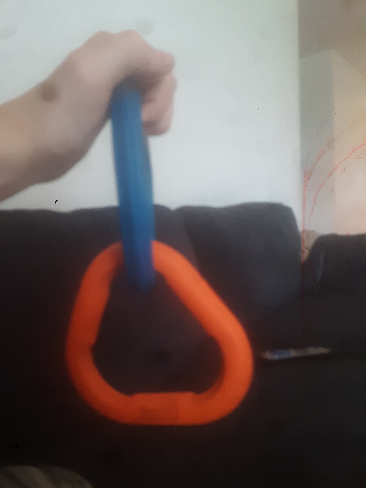 Dog toy
