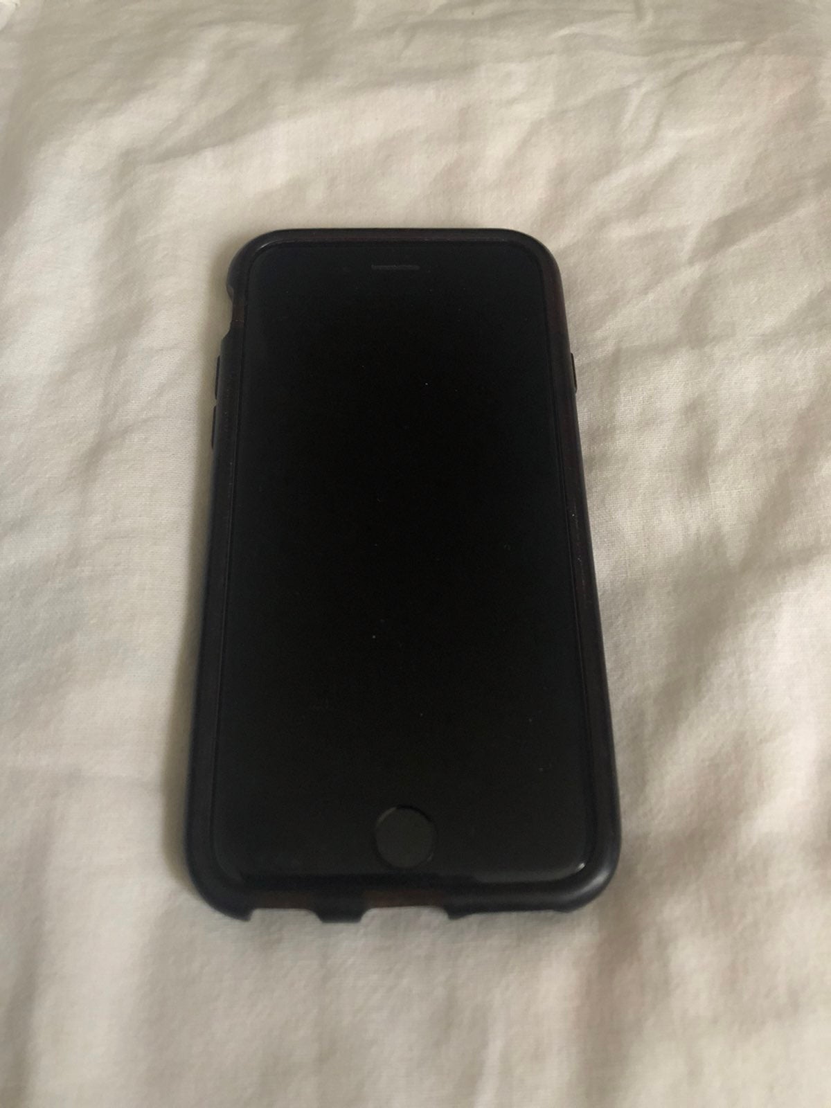 iPhone 6 Silver and Tech21 Case