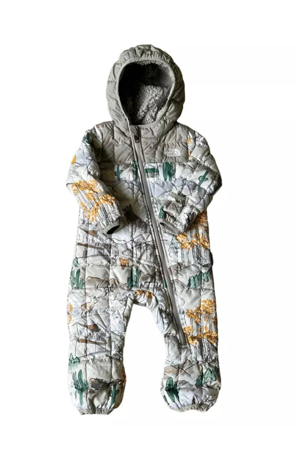 baby north face