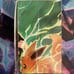 Pokemon Red vs Green Pikachu vs Eevee deckbox and card sleeves Bundle