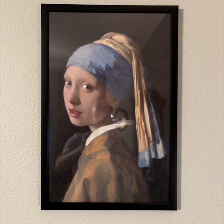 Girl With A Pearl Earring By Johannes Vermeer Framed 11x17 Poster Art Print